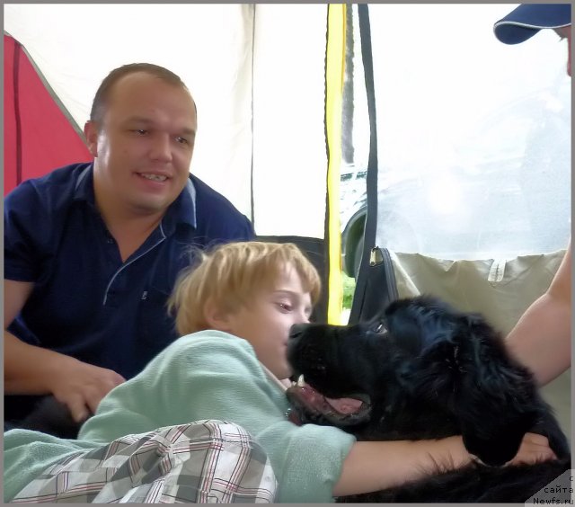 Фото: ньюфаундленд Piternyuf Enigma (Питерньюф Енигма), Паша и Серёжа