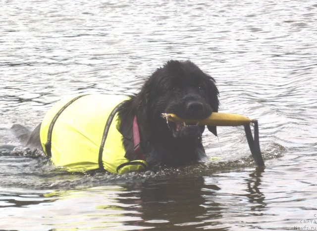 Фотография № 107424