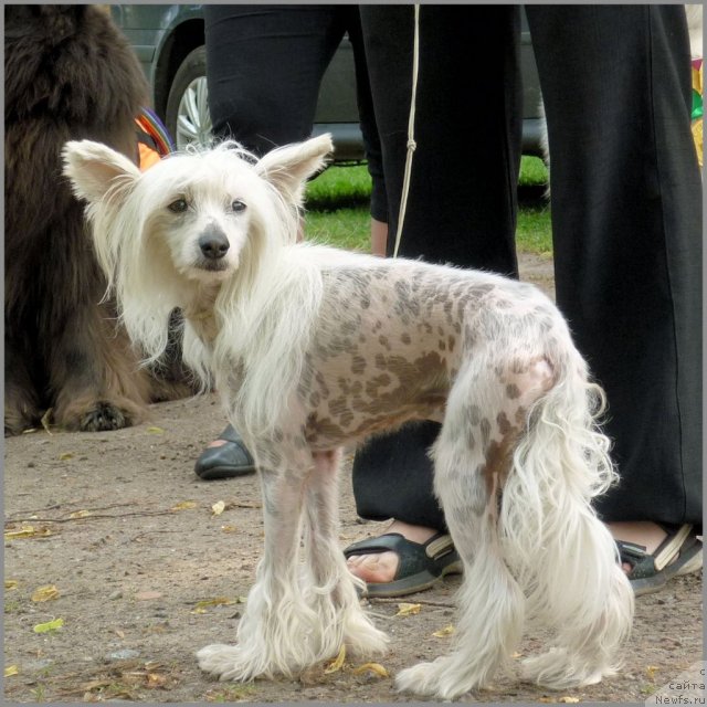 Фото: ЯХОНТ