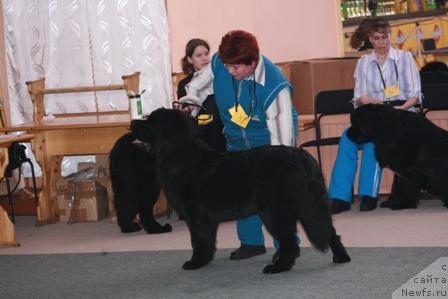 Фотография № 10752