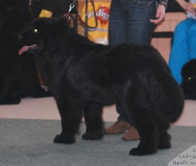 Фотография № 10754