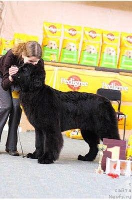 Фотография № 10755