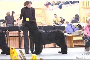 Фотография № 10756