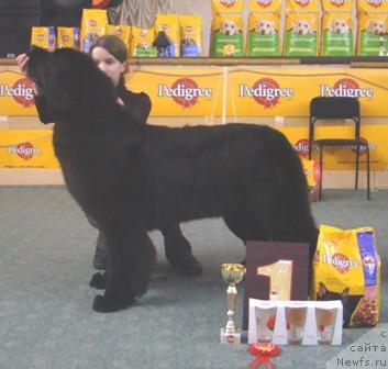 Фотография № 10757