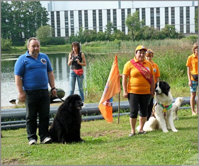 Фото: ньюфаундленд Smigar Talara (Смигар Талара), YUriy Komov (Юрий Комов), ТЭД, Ира соколова