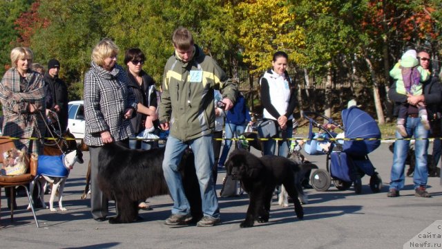 Фотография № 107600