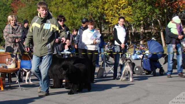 Фотография № 107601