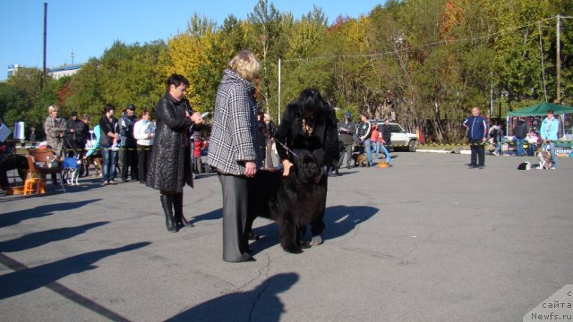 Фотография № 107604