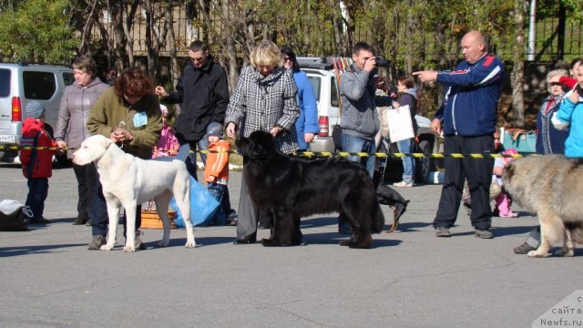 Фотография № 107608