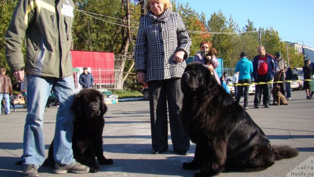 Фотография № 107610