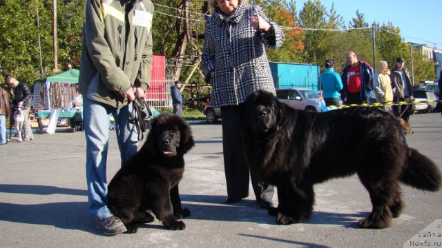 Фотография № 107611