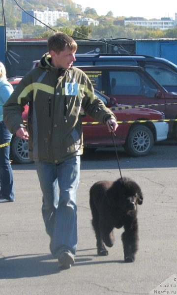 Фотография № 107625