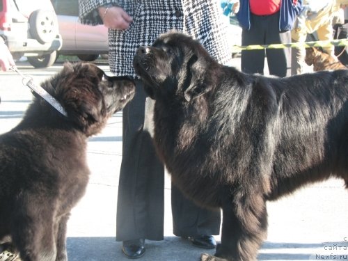 Фотография № 107626