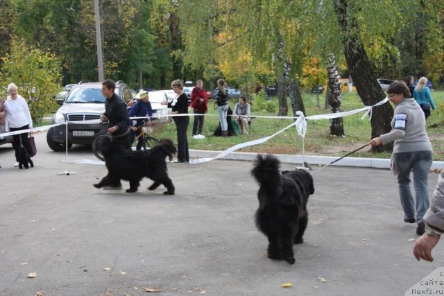 Фотография № 107639