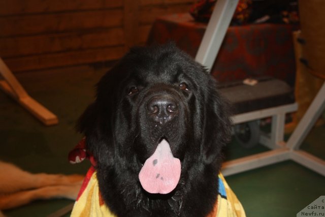 Фотография № 107673