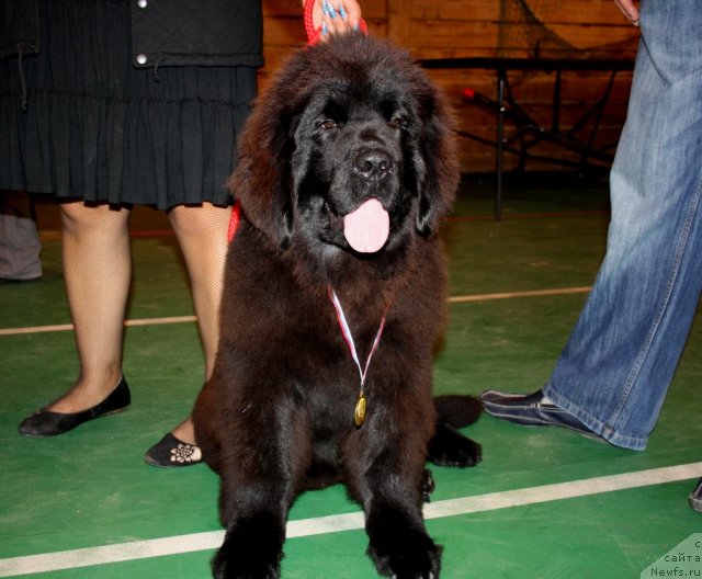 Фотография № 107699