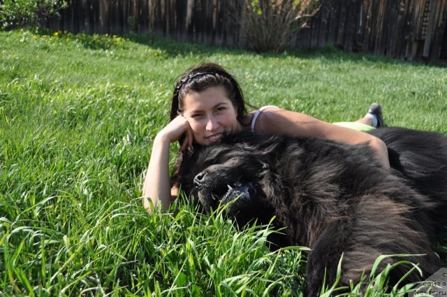 Фотография № 107775