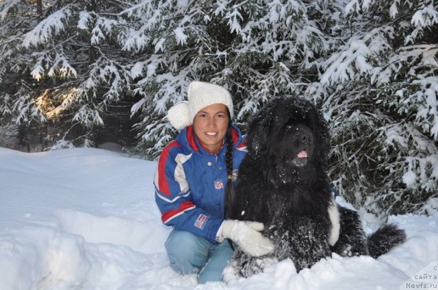 Фотография № 107779