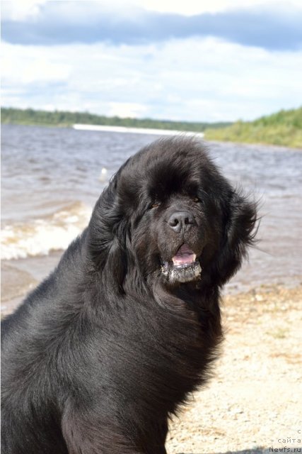 Фотография № 107782