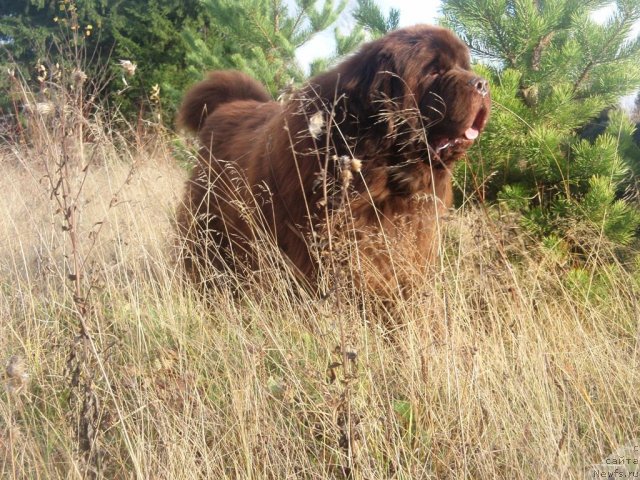 Фотография № 107802