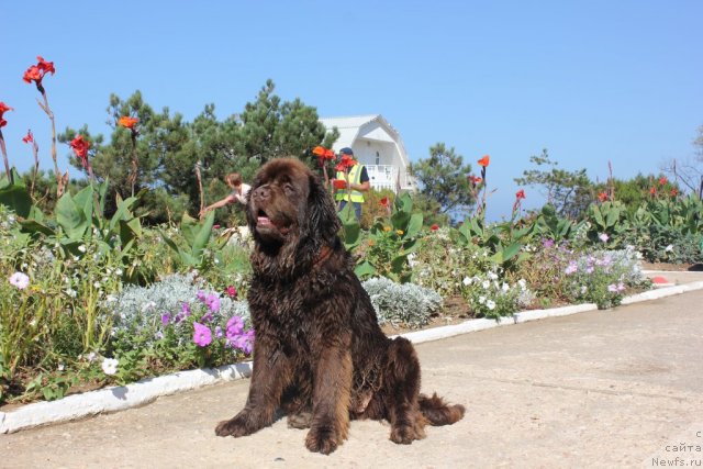 Фото: Игерма из Академии Шоколада (Igerma iz Akademii Shokolada)