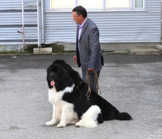 Фотография № 107871