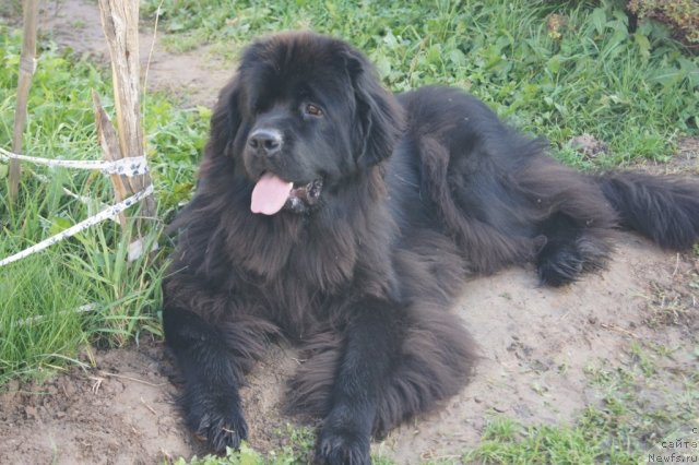 Фотография № 107907