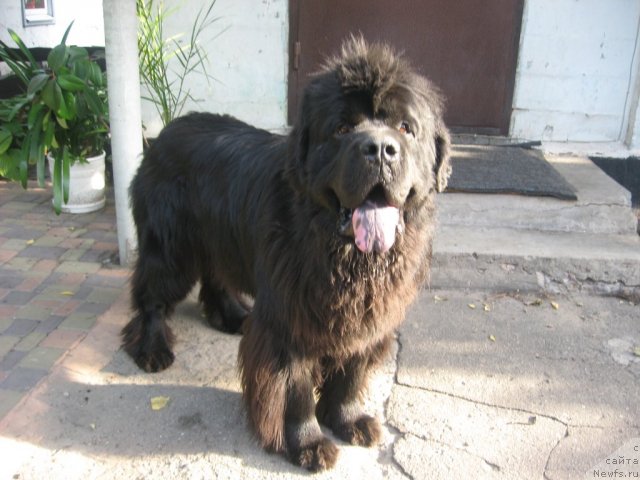 Фотография № 107930