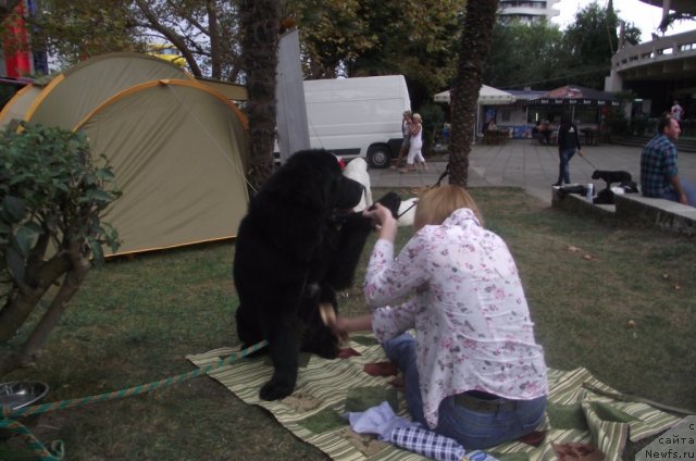 Фотография № 107932