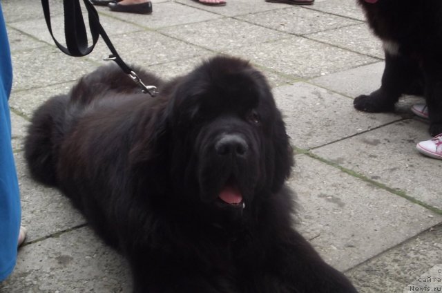 Фотография № 107938