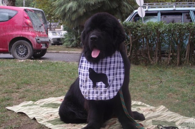 Фотография № 107939