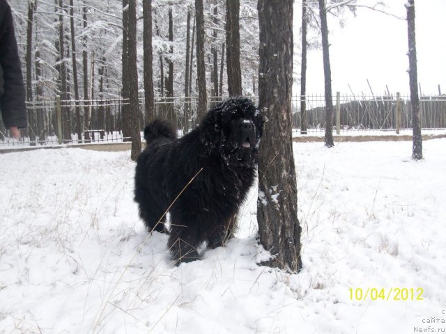 Фотография № 107961