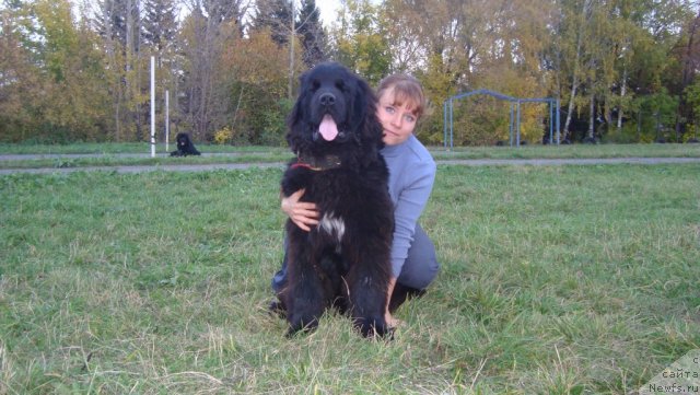 Фотография № 107974