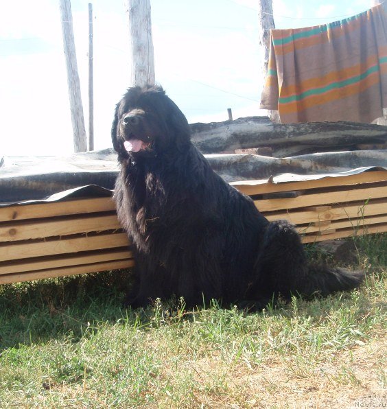 Фотография № 107997