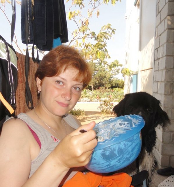 Фотография № 108000