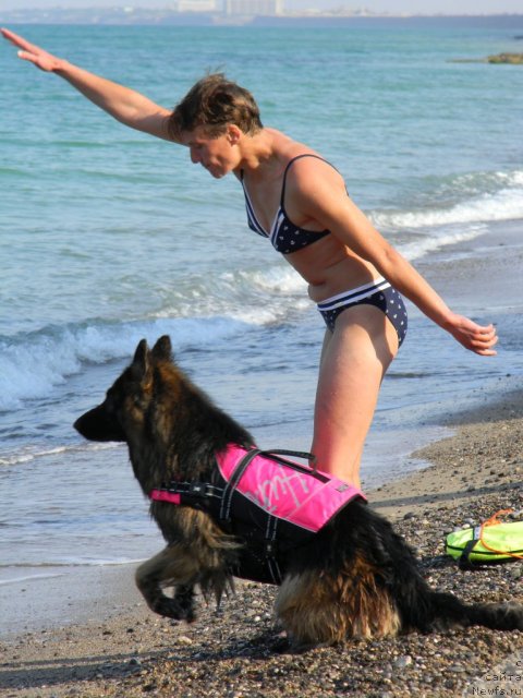 Фотография № 108011