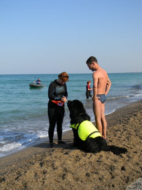 Фотография № 108012