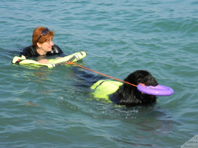 Фотография № 108013