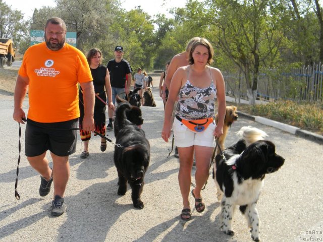 Фотография № 108016