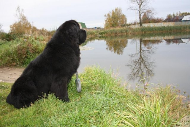 Фотография № 108021