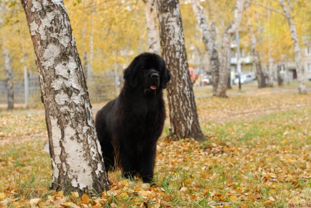 Фотография № 108170