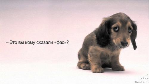 Фотография № 10819