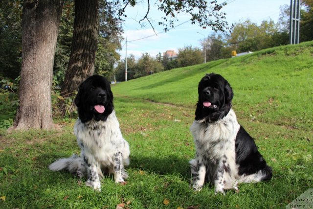 Фотография № 108196