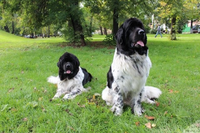 Фотография № 108197