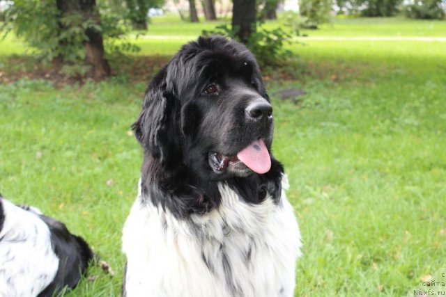 Фотография № 108198