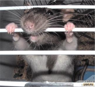 Фотография № 10820