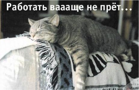 Фотография № 10821