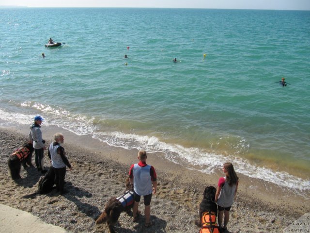 Фотография № 108228