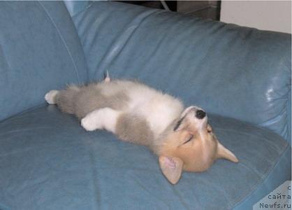 Фотография № 10823