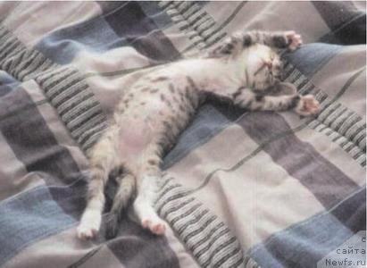 Фотография № 10824